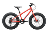 Reid Monster 20" Fat Bike
